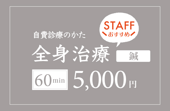 全身治療の料金表