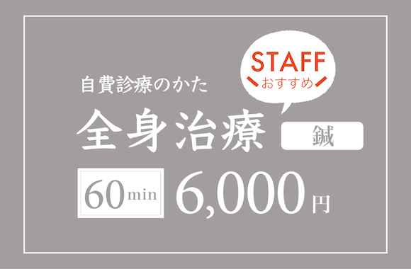 全身治療の料金表