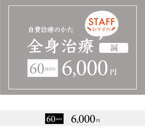 全身治療の料金表