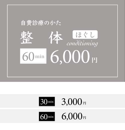 整体料金